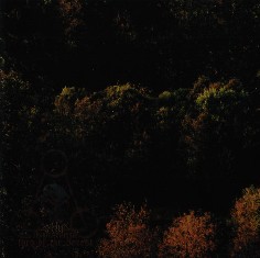 TJOLGTJAR - Ikarikitomidun, Lord Of The Forest - 2008 (CD)