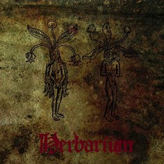 TURDUS MERULA - Herbarium - 2010 (CD)